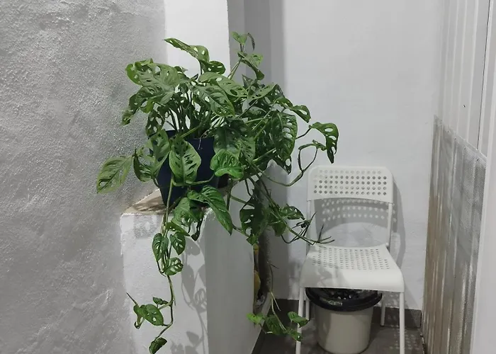 Casa De María Luisa *