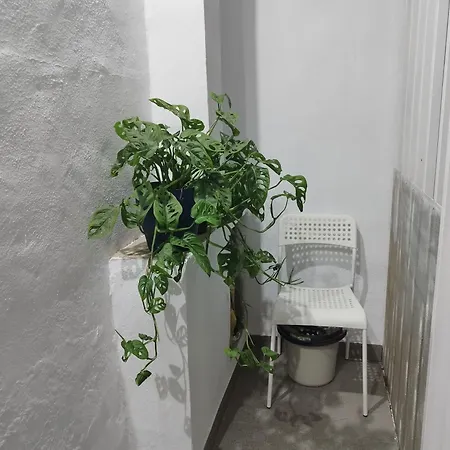 Casa De Maria Luisa *