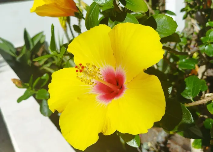 Appartement Casa De Maria Luisa