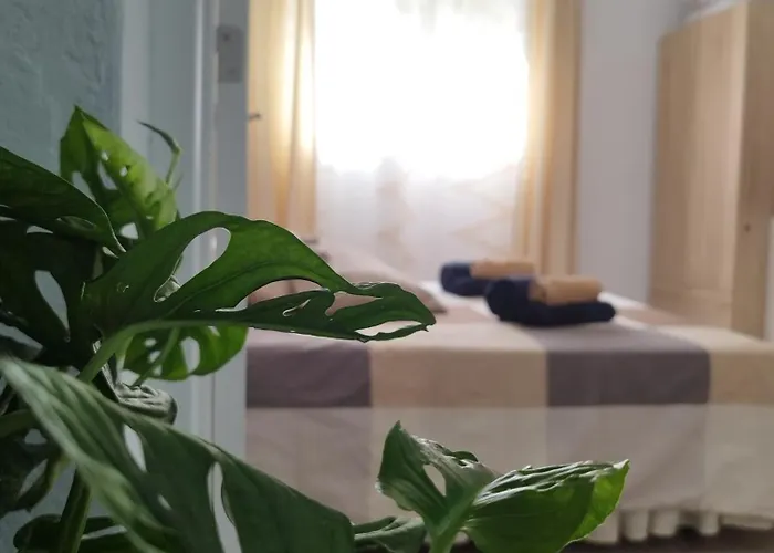 Casa De Maria Luisa Arona (Tenerife)