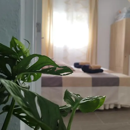 Casa De Maria Luisa 아로나